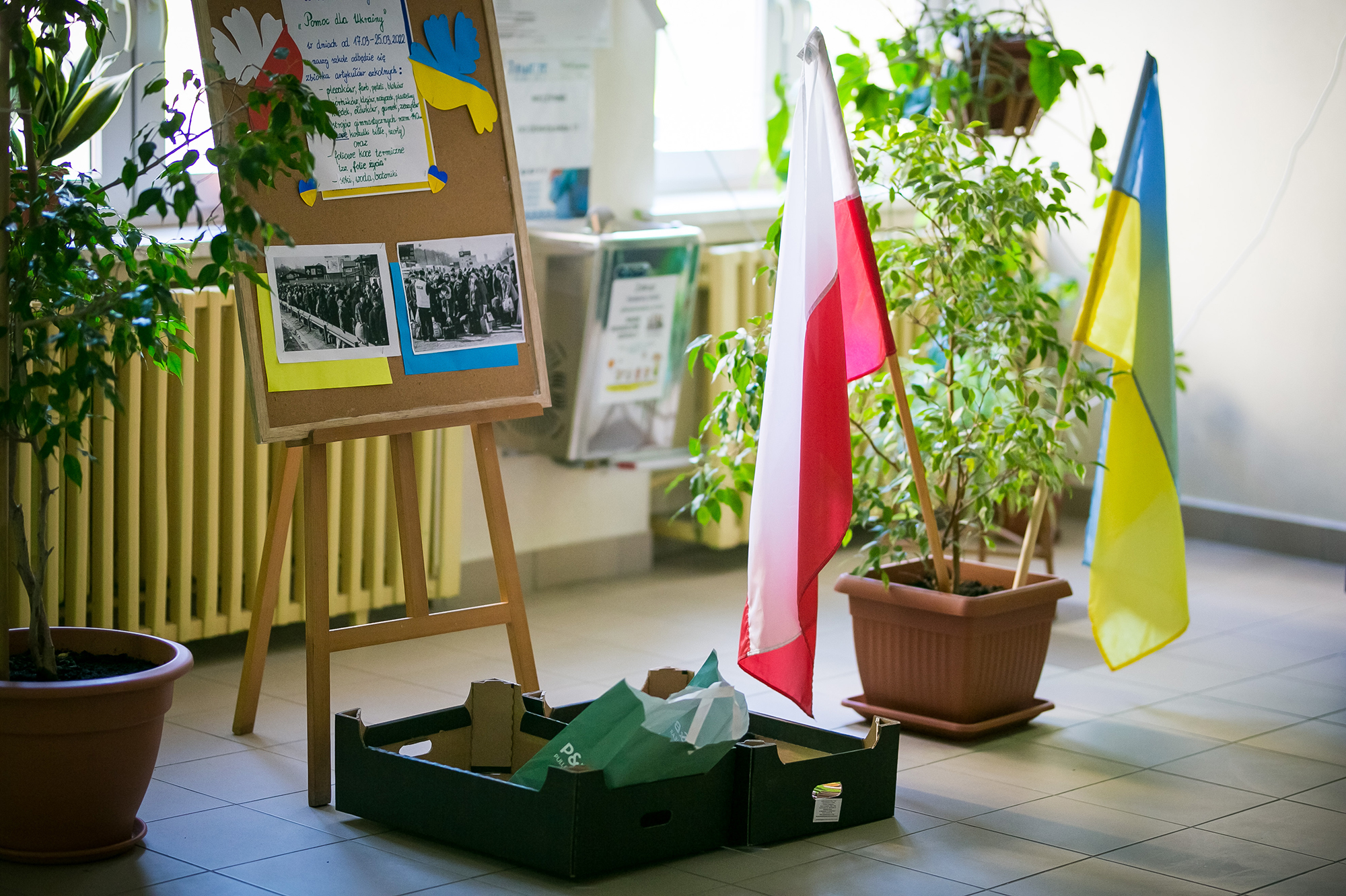 Чи штрафуватимуть біженців, чиї діти не ходять до школи у Польщі